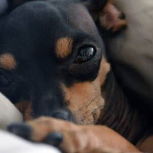 Ma Katrina David profile icon