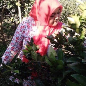 Ulum Mufa'adah profile icon