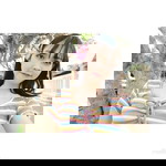 Lapatlada Mongkam profile icon