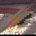 Sudteerak Natsunthie profile icon