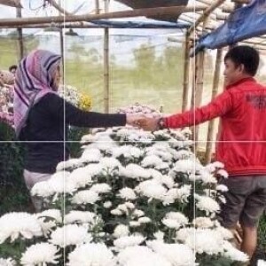 SherLy Zulbiati profile icon