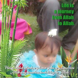 Aulia Wulandari profile icon