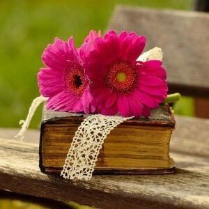 clover luck profile icon