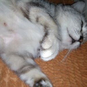 Citiy Chusnul profile icon