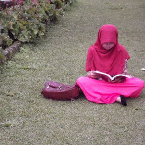 silvi nidia nutapsari profile icon