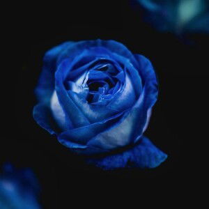 Jessielyn Teñido Ignacio profile icon