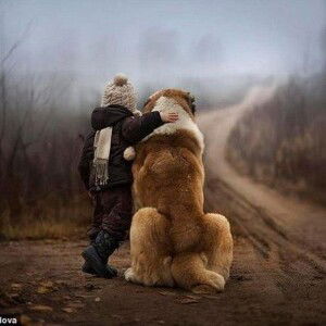 Catarina My Ly profile icon