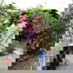 Asma Shamsuddin profile icon