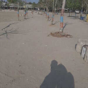 Susi Ale profile icon