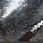 Nattarika Rorwiyan profile icon