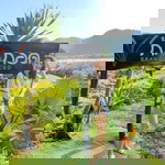 Rungtiwa Sribun profile icon