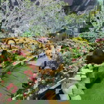 Bie Knk profile icon