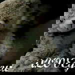 Nurul Hijjas binti Shaffie profile icon