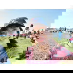 Pannisa Seekanchai profile icon