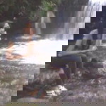 mae sya profile icon