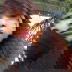 Diane Santiago profile icon