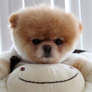 MrTuyzaa profile icon