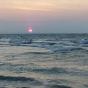 Flor Madriaga profile icon