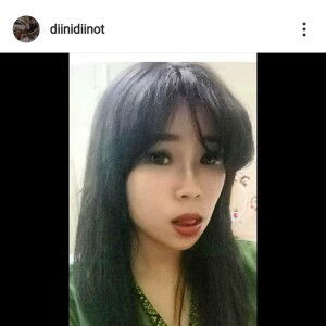 Dini Gustini profile icon