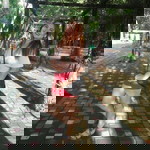 Jeschell Esdrelon Baptisma profile icon