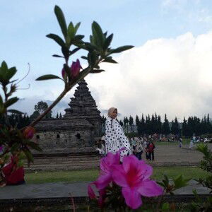 Yamannakaagetha profile icon