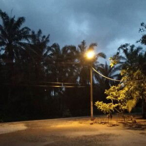 Ct Hassan profile icon