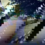 Aisyah Al Maidany profile icon