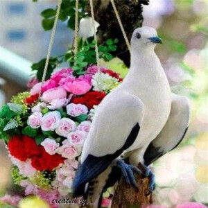 Boy Sandy profile icon