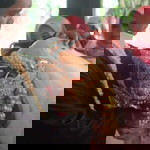 Siti Alamah Alfahirah profile icon