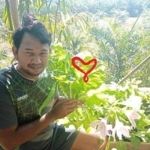 Phatpaves Nunraksa profile icon