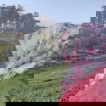 Millaa Ilaa Violett profile icon