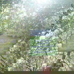 Reynabeth Billones Herrera profile icon