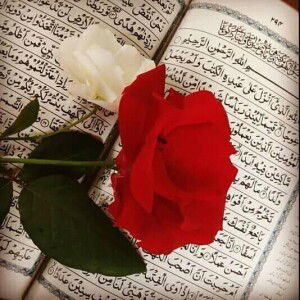 Khayyfha profile icon