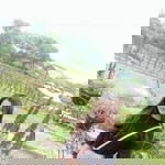 Lella N. L profile icon