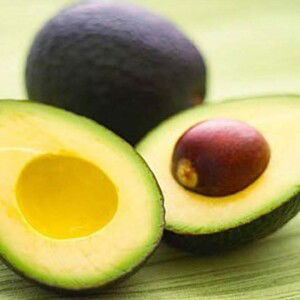 Nhất Tâm profile icon