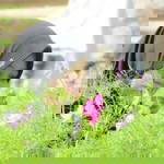 Dewi Ulandari profile icon