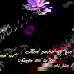 Bich Ry Nguyen profile icon