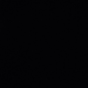 Bee Bee profile icon