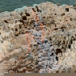 Jane Nucup-Catacutan profile icon