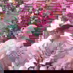 Sinta Dewi profile icon