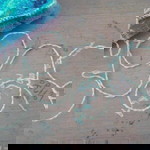 Gear Gear profile icon