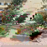 Hằng Bắp profile icon