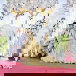 Raysha Ira profile icon