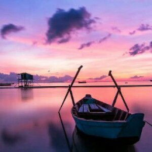 Fatma Faydil profile icon