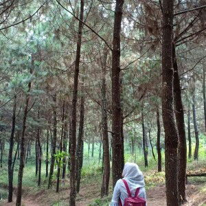 Devi Rosanita profile icon