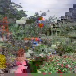 Maya Asifatu'qolbi profile icon