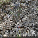 Rika AN profile icon