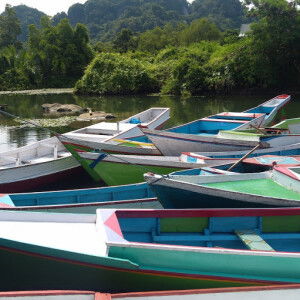 Umi Salamah profile icon