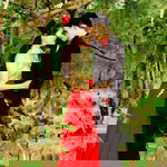 Elyn Balingit Trasmonte-Tagupa profile icon