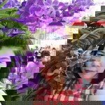 อรทัย สระแก้ว profile icon